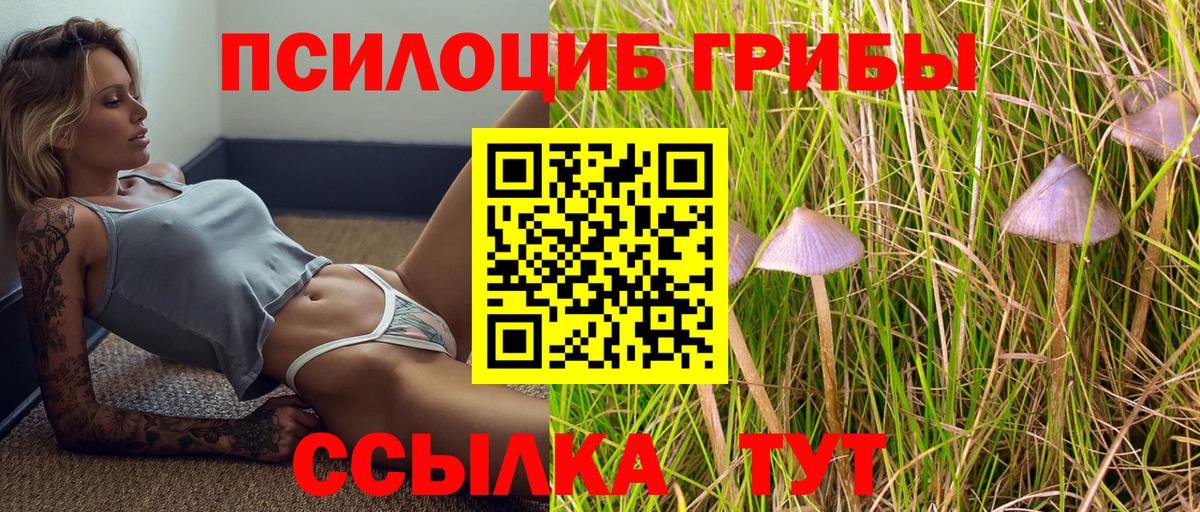 Новошахтинск  Псилоцибиновые грибы мицелий  даркнет сайт  Вход с VPN 