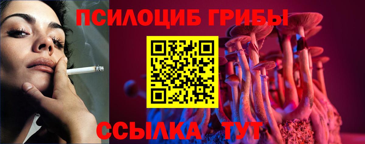 Псилоцибиновые грибы прущие грибы Новошахтинск